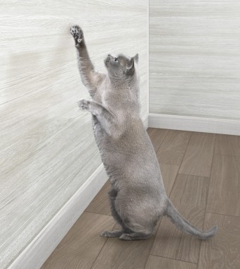 エマウォール エマウォール